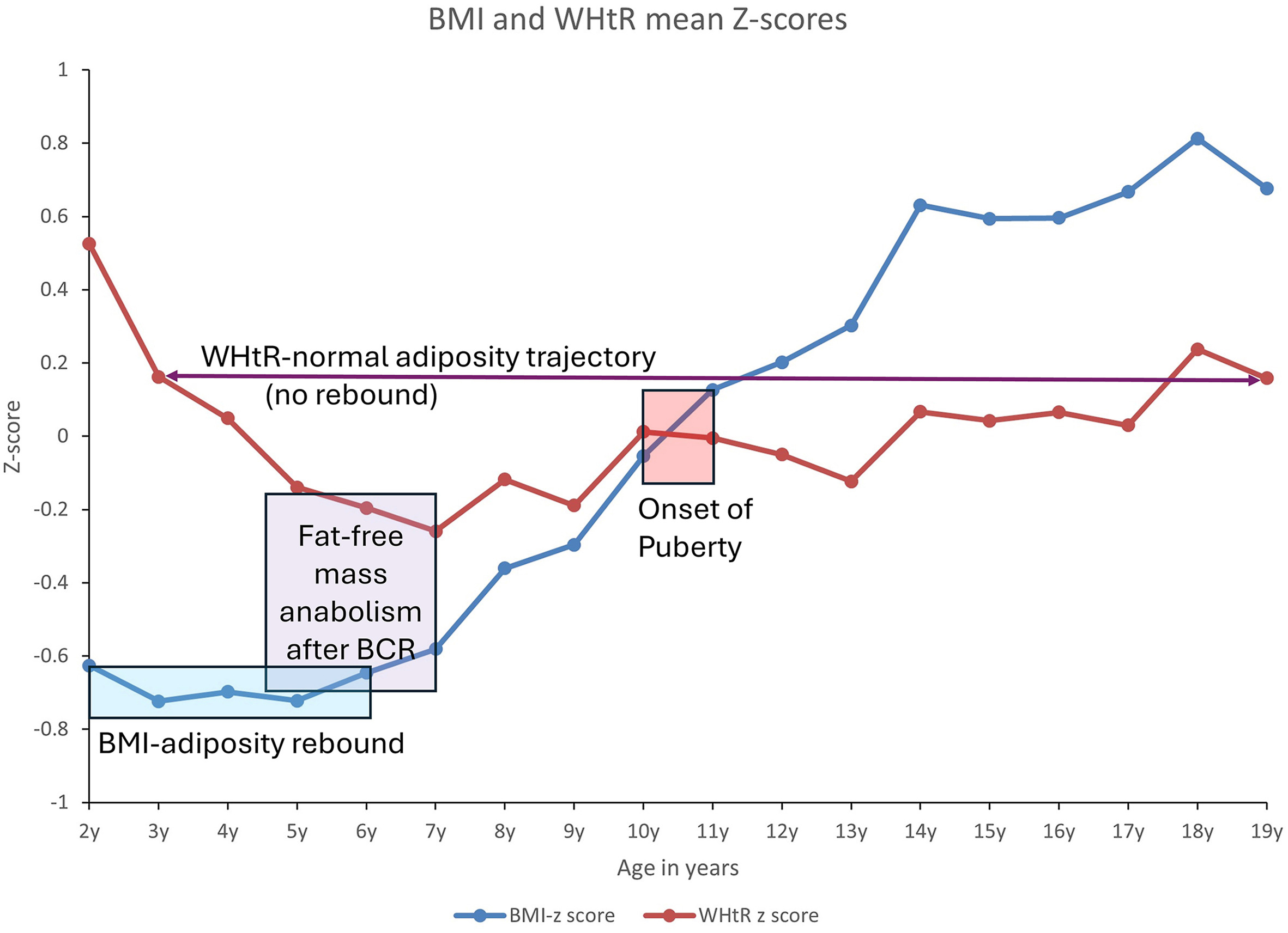 Adiposity Rebound or Fat-Free Mass Anabolism in Children—Challenging a 42-Year-Old BMI Puzzle with Waist-to-Height Ratio